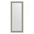 Зеркало в багетной раме Evoform Exclusive Floor BY 6120 81 x 201 см, хамелеон Зеркало в багетной раме Evoform Exclusive Floor BY 6120 81 x 201 см, хамелеон