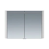 Зеркальный шкаф AM.PM Sensation 100 M30MCX1001FG с подсветкой, серый шелк глянец