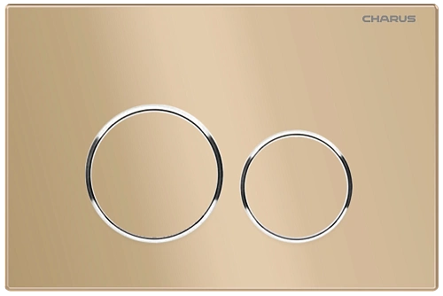 Клавиша смыва CHARUS SPAZIO FP.330.51.01 матовый песок Клавиша смыва CHARUS SPAZIO FP.330.51.01 матовый песок