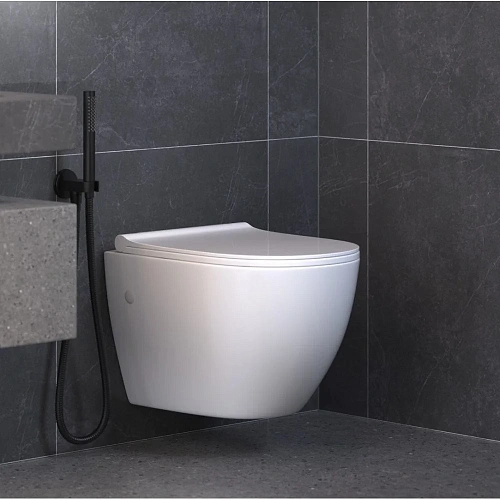 Комплект унитаза BERGES OKUS с инсталляцией NOVUM525, кнопкой F1 белой, сиденье дюропласт Toma Slim 43282 Комплект унитаза BERGES OKUS с инсталляцией NOVUM525, кнопкой F1 белой, сиденье дюропласт Toma Slim 43282