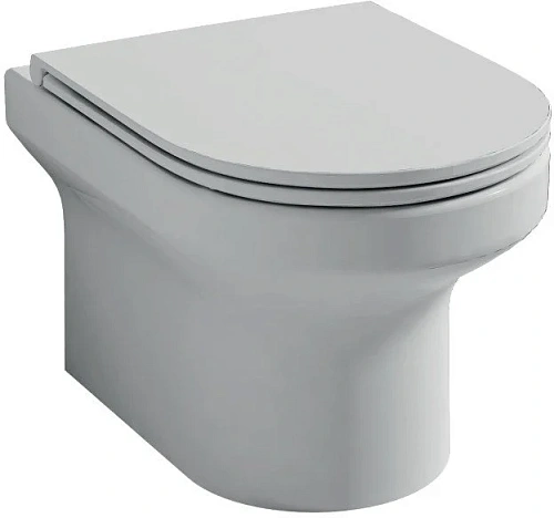 Комплект унитаза Jacob Delafon Elite E21742RU-00 безободковый с инсталляцией и кнопкой смыва Комплект унитаза Jacob Delafon Elite E21742RU-00 безободковый с инсталляцией и кнопкой смыва