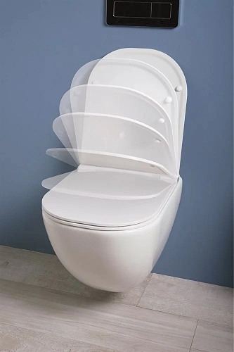 Комплект унитаза Laufen Basal VPACK 6.2071.2.007.000.3 с инсталляцией, клавишей смыва и сиденьем Комплект унитаза Laufen Basal VPACK 6.2071.2.007.000.3 с инсталляцией, клавишей смыва и сиденьем