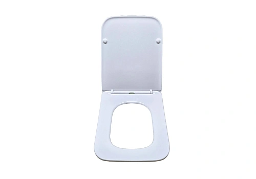 Крышка-сиденье Aquatek АМАДЕО AQ0101-00 белый Крышка-сиденье Aquatek АМАДЕО AQ0101-00 белый