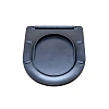 Крышка-сиденье Aquatek ЕВРОПА AQ0004-MB черный матовый Крышка-сиденье Aquatek ЕВРОПА AQ0004-MB черный матовый