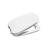 Крышка-сиденье Roca Frontalis 801582004