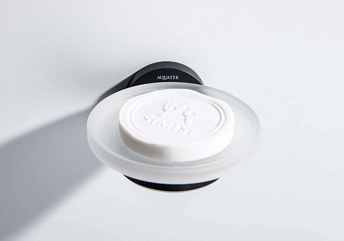 Мыльница Aquatek ЕВРОПА AQ4103MB черный матовый Мыльница Aquatek ЕВРОПА AQ4103MB черный матовый