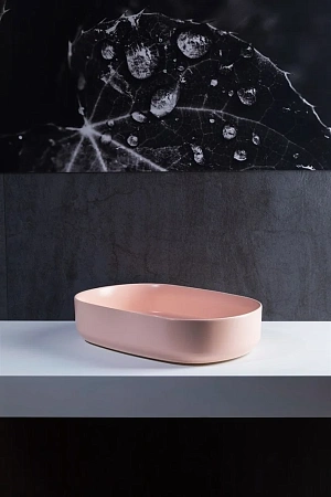 Раковина Allen Brau Fantasy 55 4.11022.SM розовый Раковина Allen Brau Fantasy 55 4.11022.SM розовый