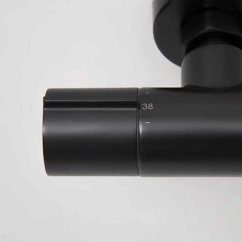 Смеситель для душа WasserKRAFT Elbe 7411 Thermo термостатический черный Смеситель для душа WasserKRAFT Elbe 7411 Thermo термостатический черный