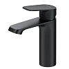 Смеситель для раковины AM.PM Func F8F02122 черный