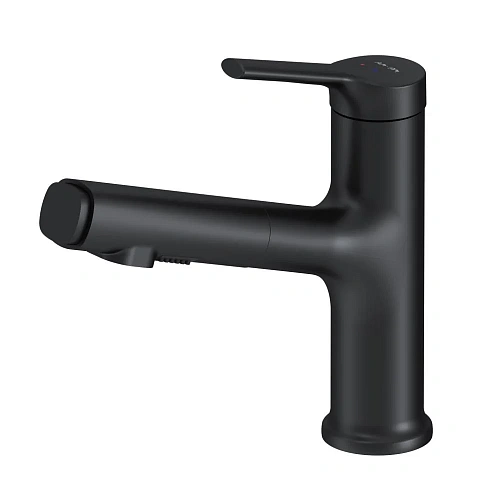 Смеситель для раковины AM.PM X-Joy F85B02922 с вытяжным изливом, черный Смеситель для раковины AM.PM X-Joy F85B02922 с вытяжным изливом, черный