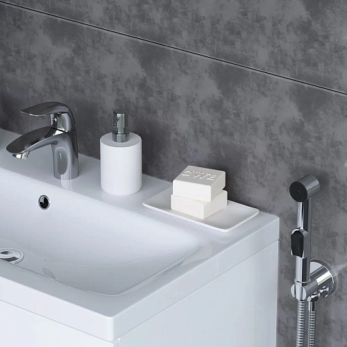 Смеситель для раковины Damixa Eclipse 310300001 с гигиеническим душем, хром Смеситель для раковины Damixa Eclipse 310300001 с гигиеническим душем, хром