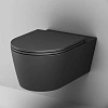 Унитаз подвесной AM.PM Func C8F1701MBSC FlashClean с сиденьем микролифт, черный матовый Унитаз подвесной AM.PM Func C8F1701MBSC FlashClean с сиденьем микролифт, черный матовый