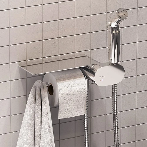 Унитаз подвесной AM.PM Sensation CK30H0904W с гигиеническим душем с сиденьем Унитаз подвесной AM.PM Sensation CK30H0904W с гигиеническим душем с сиденьем