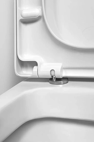 Унитаз подвесной AM.PM Spirit 2.0 C701738SC c быстросъемным cиденьем, микролифтом Унитаз подвесной AM.PM Spirit 2.0 C701738SC c быстросъемным cиденьем, микролифтом