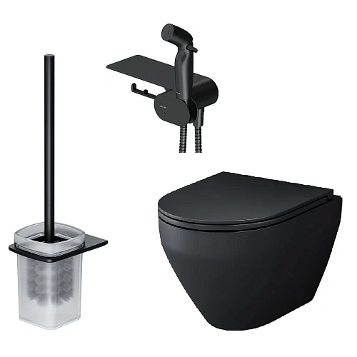 Унитаз подвесной AM.PM Spirit V2.0 CK70H1103B с гигиеническим душем, черный с сиденьем Унитаз подвесной AM.PM Spirit V2.0 CK70H1103B с гигиеническим душем, черный с сиденьем