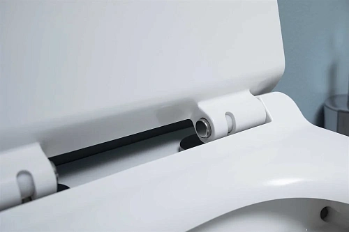 Унитаз подвесной Aquanet Rimless Cetus W Short LX-1900 с сиденьем Унитаз подвесной Aquanet Rimless Cetus W Short LX-1900 с сиденьем