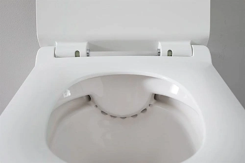 Унитаз подвесной Aquanet Rimless Roll-W CL-12249D с сиденьем Унитаз подвесной Aquanet Rimless Roll-W CL-12249D с сиденьем