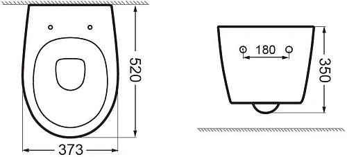 Унитаз подвесной Aquanet ZV-1 белый ZV-1 с сиденьем Унитаз подвесной Aquanet ZV-1 белый ZV-1 с сиденьем