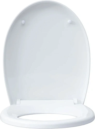 Унитаз подвесной Aquanet ZV-1 белый ZV-1 с сиденьем Унитаз подвесной Aquanet ZV-1 белый ZV-1 с сиденьем