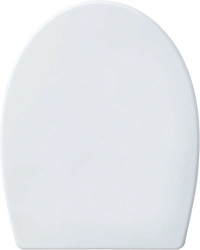 Унитаз подвесной Aquanet ZV-1 белый ZV-1 с сиденьем Унитаз подвесной Aquanet ZV-1 белый ZV-1 с сиденьем