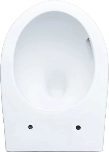 Унитаз подвесной Aquanet ZV-1 белый ZV-1 с сиденьем Унитаз подвесной Aquanet ZV-1 белый ZV-1 с сиденьем