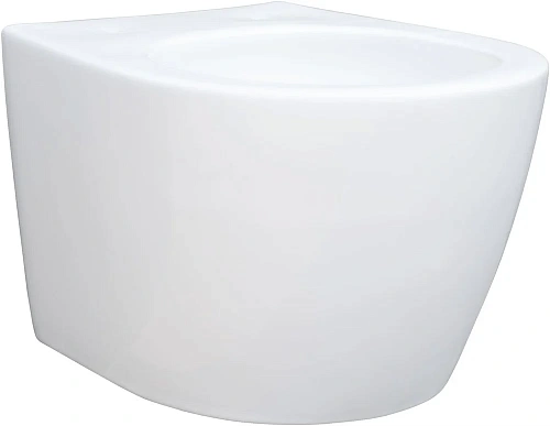 Унитаз подвесной Aquanet ZV-1 белый ZV-1 с сиденьем Унитаз подвесной Aquanet ZV-1 белый ZV-1 с сиденьем