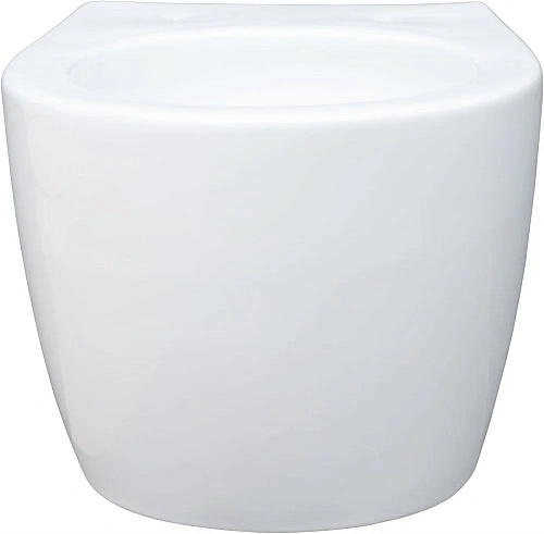 Унитаз подвесной Aquanet ZV-1 белый ZV-1 с сиденьем Унитаз подвесной Aquanet ZV-1 белый ZV-1 с сиденьем