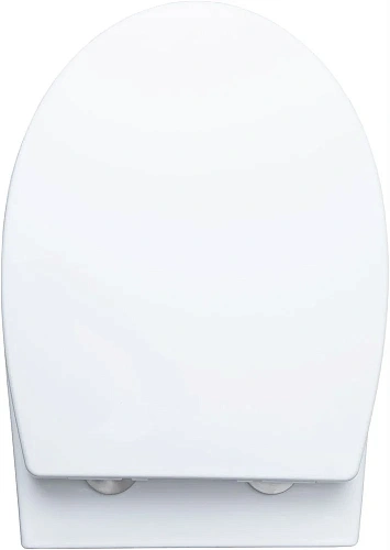 Унитаз подвесной Aquanet ZV-1 белый ZV-1 с сиденьем Унитаз подвесной Aquanet ZV-1 белый ZV-1 с сиденьем