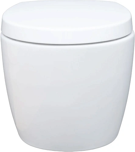 Унитаз подвесной Aquanet ZV-1 белый ZV-1 с сиденьем Унитаз подвесной Aquanet ZV-1 белый ZV-1 с сиденьем