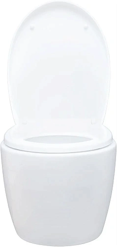 Унитаз подвесной Aquanet ZV-1 белый ZV-1 с сиденьем Унитаз подвесной Aquanet ZV-1 белый ZV-1 с сиденьем