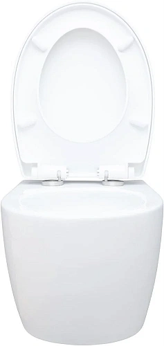 Унитаз подвесной Aquanet ZV-1 белый ZV-1 с сиденьем Унитаз подвесной Aquanet ZV-1 белый ZV-1 с сиденьем