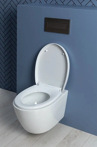 Унитаз подвесной Aquanet ZV-1 белый ZV-1 с сиденьем Унитаз подвесной Aquanet ZV-1 белый ZV-1 с сиденьем