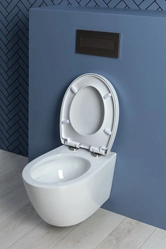 Унитаз подвесной Aquanet ZV-1 белый ZV-1 с сиденьем Унитаз подвесной Aquanet ZV-1 белый ZV-1 с сиденьем