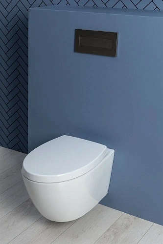 Унитаз подвесной Aquanet ZV-1 белый ZV-1 с сиденьем Унитаз подвесной Aquanet ZV-1 белый ZV-1 с сиденьем