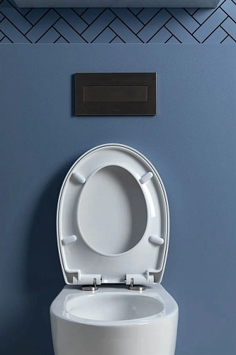 Унитаз подвесной Aquanet ZV-1 белый ZV-1 с сиденьем Унитаз подвесной Aquanet ZV-1 белый ZV-1 с сиденьем