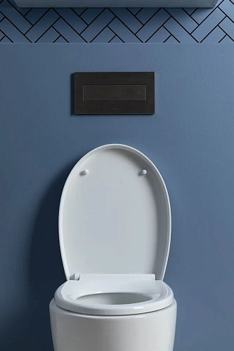 Унитаз подвесной Aquanet ZV-1 белый ZV-1 с сиденьем Унитаз подвесной Aquanet ZV-1 белый ZV-1 с сиденьем