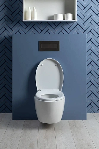 Унитаз подвесной Aquanet ZV-1 белый ZV-1 с сиденьем Унитаз подвесной Aquanet ZV-1 белый ZV-1 с сиденьем