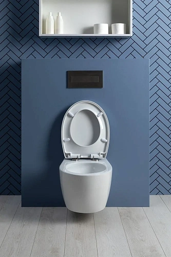 Унитаз подвесной Aquanet ZV-1 белый ZV-1 с сиденьем Унитаз подвесной Aquanet ZV-1 белый ZV-1 с сиденьем