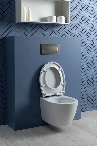 Унитаз подвесной Aquanet ZV-1 белый ZV-1 с сиденьем Унитаз подвесной Aquanet ZV-1 белый ZV-1 с сиденьем