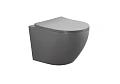 Унитаз подвесной Aquatek ЕВРОПА AQ1901-MG 525x360x320мм, матовый серый, тонкое сиденье микролифт Унитаз подвесной Aquatek ЕВРОПА AQ1901-MG 525x360x320мм, матовый серый, тонкое сиденье микролифт