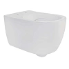 Унитаз подвесной Aquatek ПОЛАРИС AQ0700-01 с сиденьем микролифт, белый Унитаз подвесной Aquatek ПОЛАРИС AQ0700-01 с сиденьем микролифт, белый