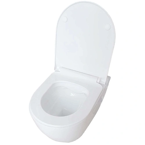 Унитаз подвесной Aquatek ПОЛАРИС AQ0700-01 с сиденьем микролифт, белый Унитаз подвесной Aquatek ПОЛАРИС AQ0700-01 с сиденьем микролифт, белый