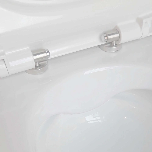 Унитаз подвесной Aquatek ПОЛАРИС AQ0700-01 с сиденьем микролифт, белый Унитаз подвесной Aquatek ПОЛАРИС AQ0700-01 с сиденьем микролифт, белый