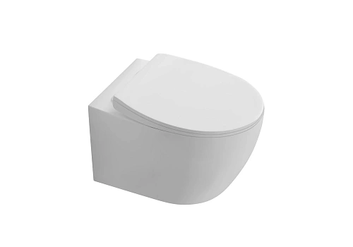 Унитаз подвесной Aquatek СИРИУС AQ1582T-00 с сиденьем микролифт, белый Унитаз подвесной Aquatek СИРИУС AQ1582T-00 с сиденьем микролифт, белый