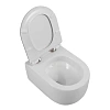 Унитаз подвесной BelBagno SOFT-TOR BB084CH-TOR/BB2111SC безободковый с сиденьем Унитаз подвесной BelBagno SOFT-TOR BB084CH-TOR/BB2111SC безободковый с сиденьем