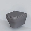 Унитаз подвесной Benefit 203T20301R (535x340x360) серый матовый безободковый с тонкой крышкой 203T20301R-202T20301S Унитаз подвесной Benefit 203T20301R (535x340x360) серый матовый безободковый с тонкой крышкой 203T20301R-202T20301S