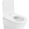Унитаз подвесной Boheme AVVA 973-SET-W белый глянец c крышкой Унитаз подвесной Boheme AVVA 973-SET-W белый глянец c крышкой