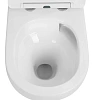 Унитаз подвесной Boheme AVVA 973-SET-W белый глянец c крышкой Унитаз подвесной Boheme AVVA 973-SET-W белый глянец c крышкой