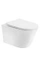 Унитаз подвесной Boheme AVVA 973-SET-W белый глянец c крышкой Унитаз подвесной Boheme AVVA 973-SET-W белый глянец c крышкой