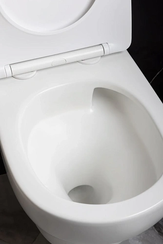 Унитаз подвесной Boheme FIORE 978-SET-2-MW с функцией биде, белый матовый c крышкой Унитаз подвесной Boheme FIORE 978-SET-2-MW с функцией биде, белый матовый c крышкой